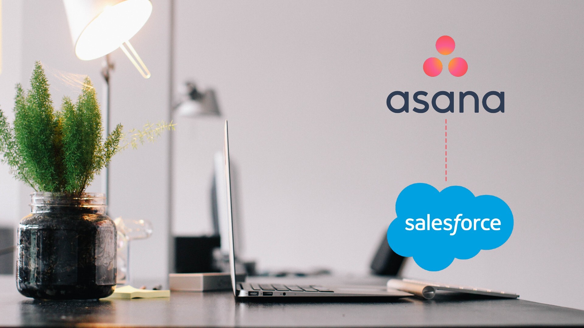 Asana Salesforce Integration